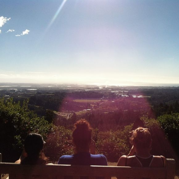 Meet your Posher, Frances - Picture 1 of 1